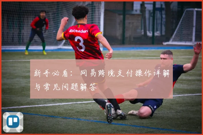 新手必看：网易跨境支付操作详解与常见问题解答