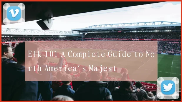 Elk 101 A Complete Guide to North America's Majest
